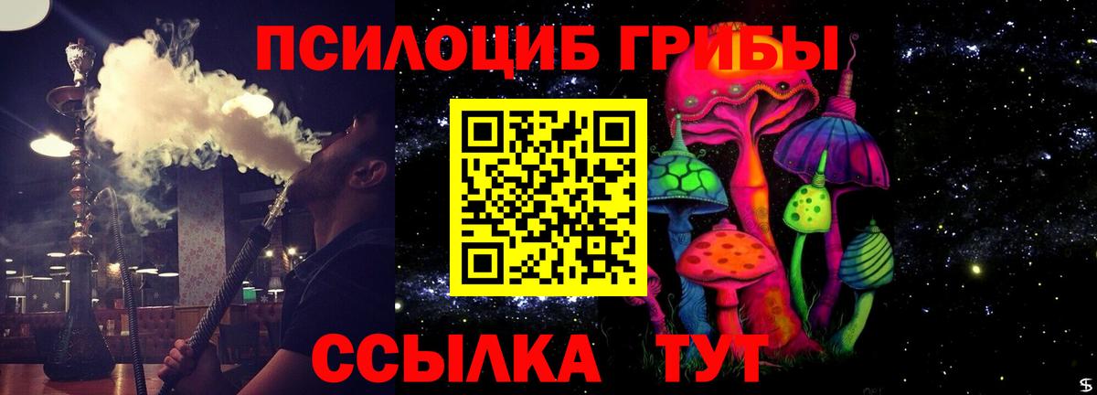 Углич  закладка  Псилоцибиновые грибы мухоморы  Вход с VPN  Псилоцибиновые грибы MAGIC MUSHROOMS 