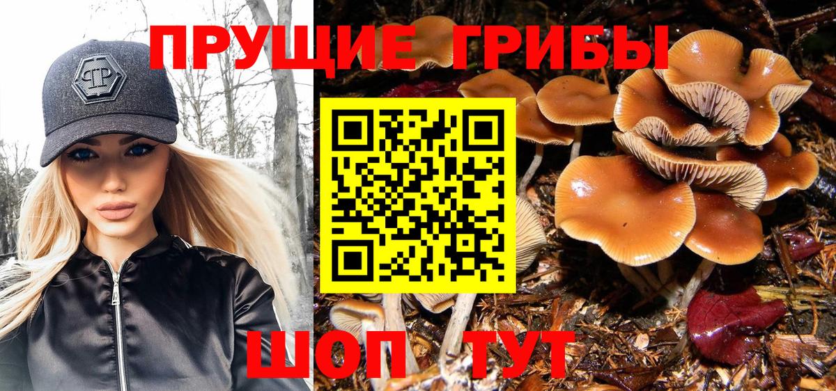 Галлюциногенные грибы мицелий Углич